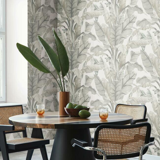 Looking Bw3972 Banana Leaf Black And White Resource Library York Wallpaper