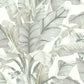 Shop BW3972 Banana Leaf Black and White Resource Library by York Wallpaper