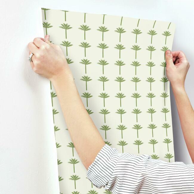 CV4420 Palm Bay Wallpaper Fern Waters Edge1 ; CV4420 Palm Bay Wallpaper Fern Waters Edge2 ; CV4420 Palm Bay Wallpaper Fern Waters Edge3 ; CV4420 Palm Bay Wallpaper Fern Waters Edge4 ; CV4420 Palm Bay Wallpaper Fern Waters Edge5 ; CV4420 Palm Bay Wallpaper Fern Waters Edge6