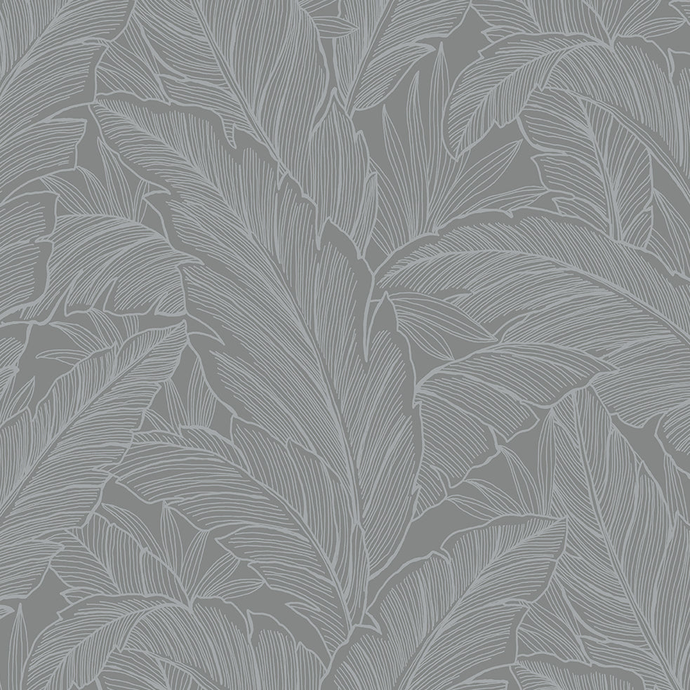 DC61708 | Deco Banana Leaf, Grey - Collins & Company Wallpaper