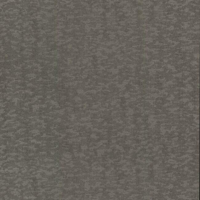 Search DD3751 Weathered Cypress Dazzling Dimensions Volume II by Antonina Vella Wallpaper