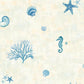 Find DLR54531 Sand Dollar Animals by Chesapeake Wallpaper