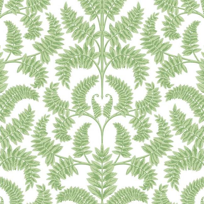 View DM4961 Royal Fern Damask Wallpaper Green Damask Resource Library York Wallpaper1 