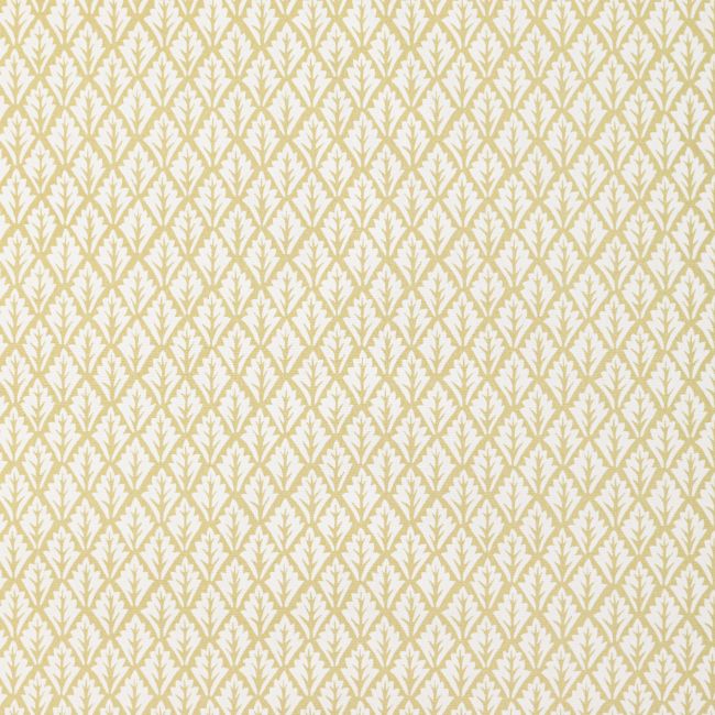 Purchase Dorso.16.0 Dorso,  - Kravet Basics Fabric