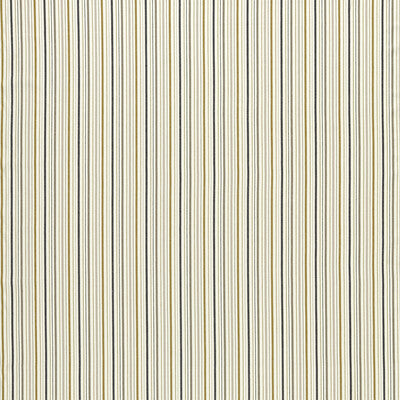F1501-03 Maryland Ochre/Charcoal Stripes Clarke And Clarke Fabric