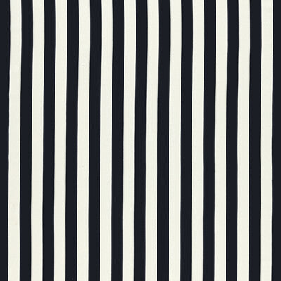 F1503-02 Portland Ebony Stripes Clarke And Clarke Fabric