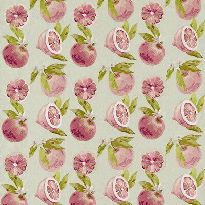 F1506-01 Agrias Grapefruit Botanical &amp; Floral Clarke And Clarke Fabric