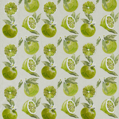 F1506-02 Agrias Lime Botanical &amp; Floral Clarke And Clarke Fabric