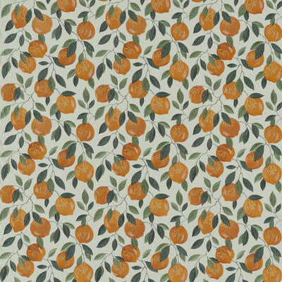 F1508-02 Sicilian Orange Botanical &amp; Floral Clarke And Clarke Fabric