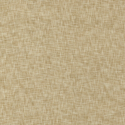 F1528-01 Gaia Antique Solid Clarke And Clarke Fabric