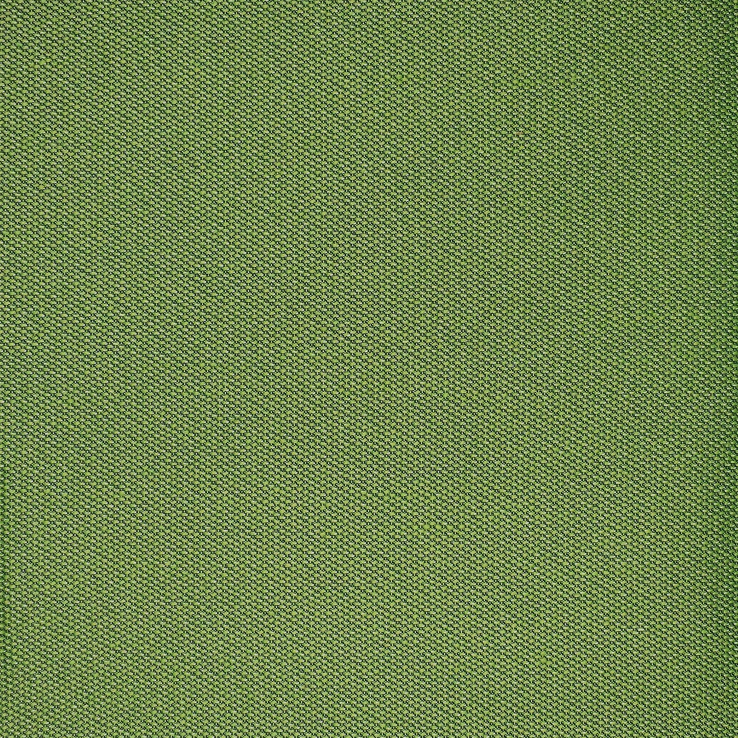 Purchase Greenhouse Fabric F4525 Grass