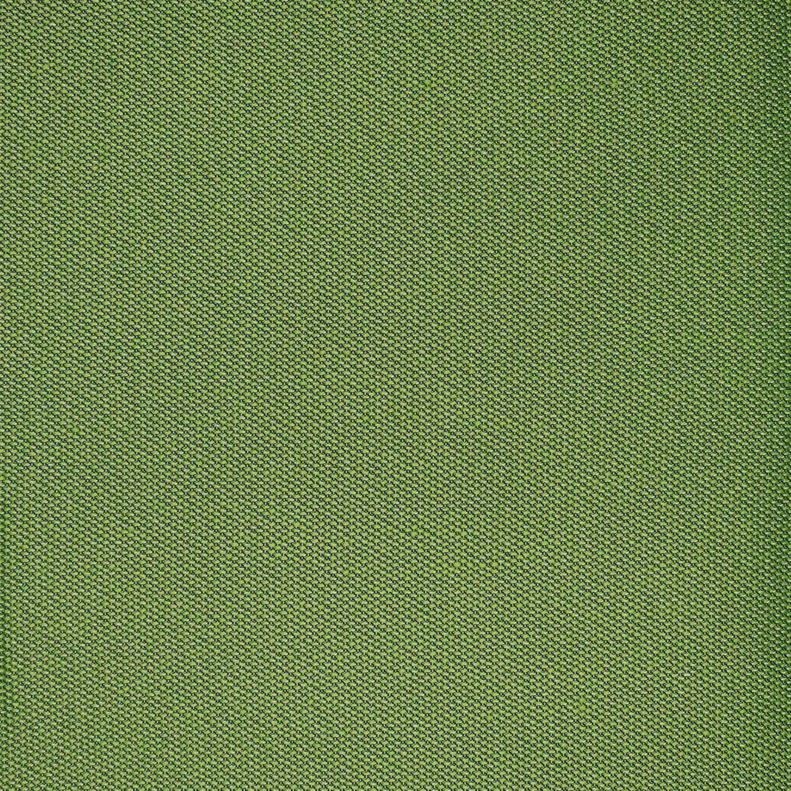 Purchase Greenhouse Fabric F4525 Grass