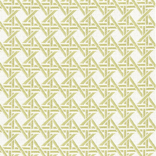 Purchase Greenhouse Fabric F4595 Fern