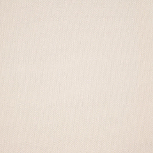 Purchase Greenhouse Fabric F4613 Cloud