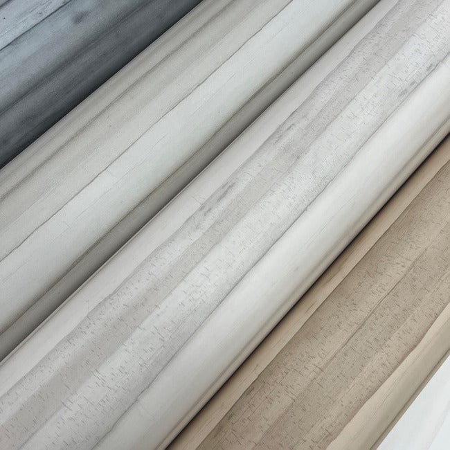 Find Go8265 Pandora Leaf Birch Greenhouse York Wallpaper