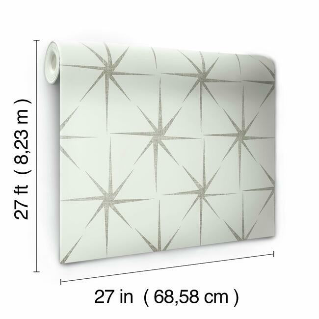 GR5943 | Grandmillennial, Evening Star Silver York Wallpaper