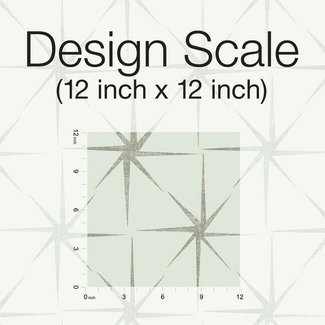 GR5943 | Grandmillennial, Evening Star Silver York Wallpaper