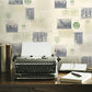 View Iwb00821 University Of Oxford Archive Brewster Wallpaper