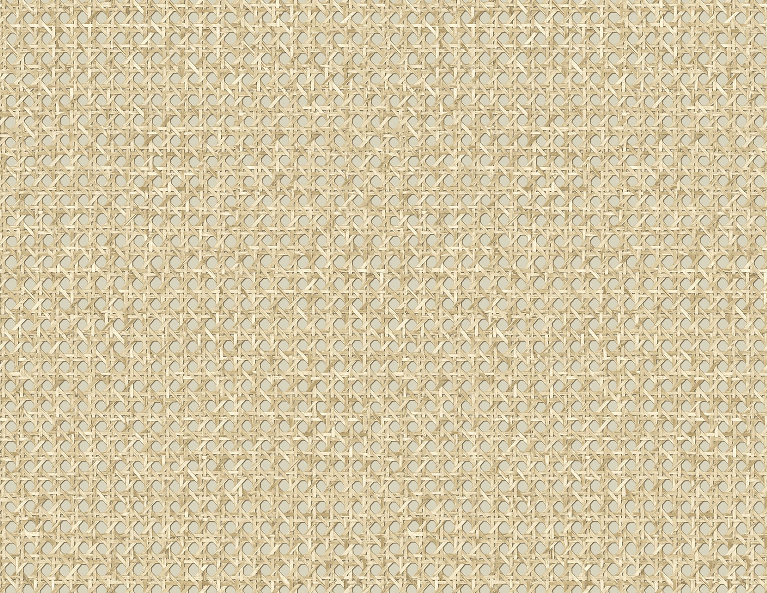 JP11205 | Mika, Beige - Seabrook Designs Wallpaper