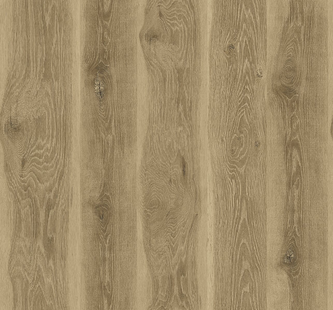 JP11307 | Kieri, Brown - Seabrook Designs Wallpaper