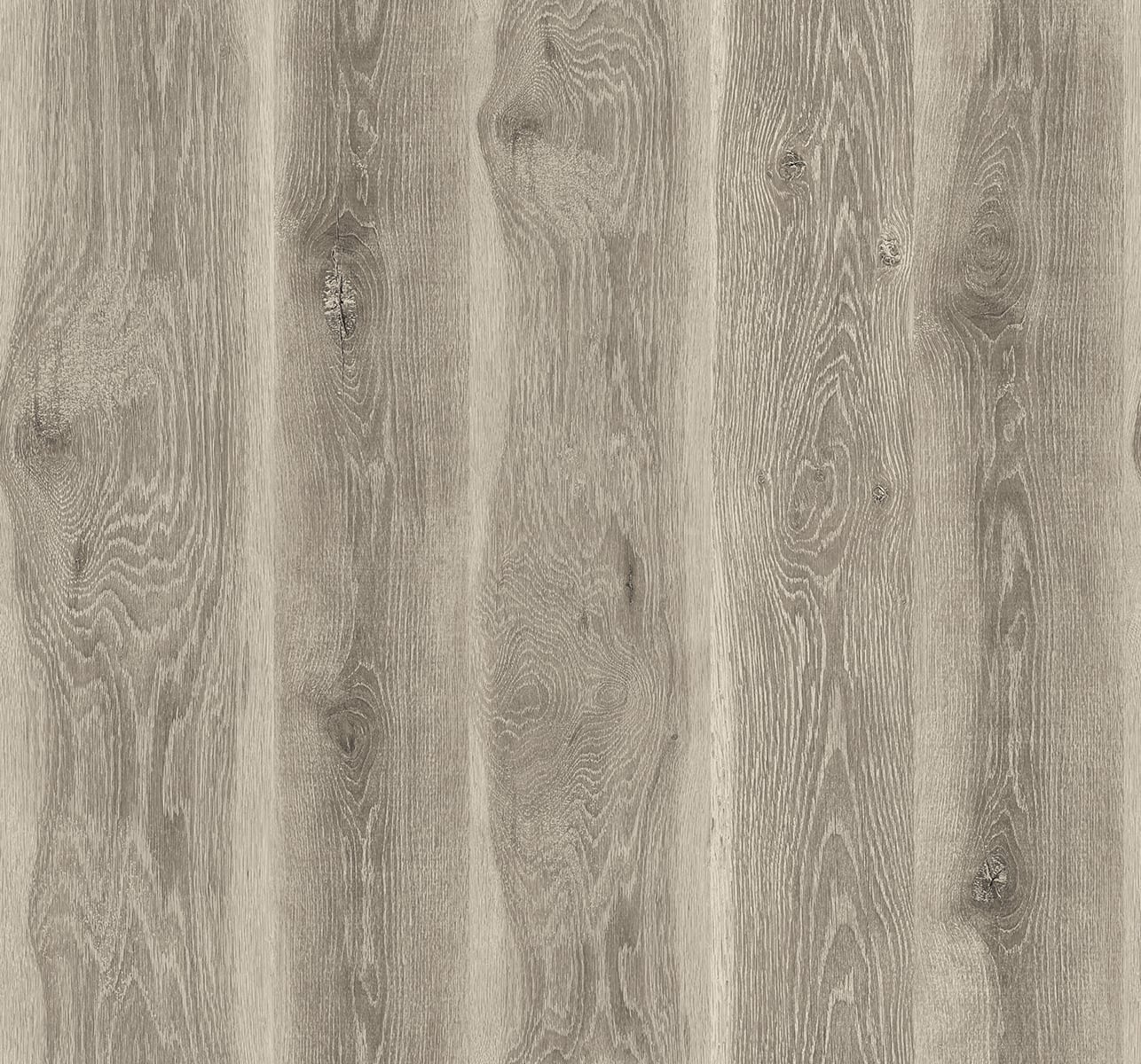 JP11315 | Kieri, Brown - Seabrook Designs Wallpaper