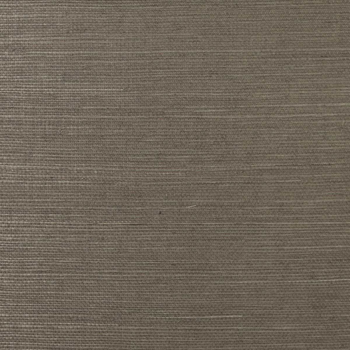 LN11836 | Sisal, Brown - Lillian August Wallpaper