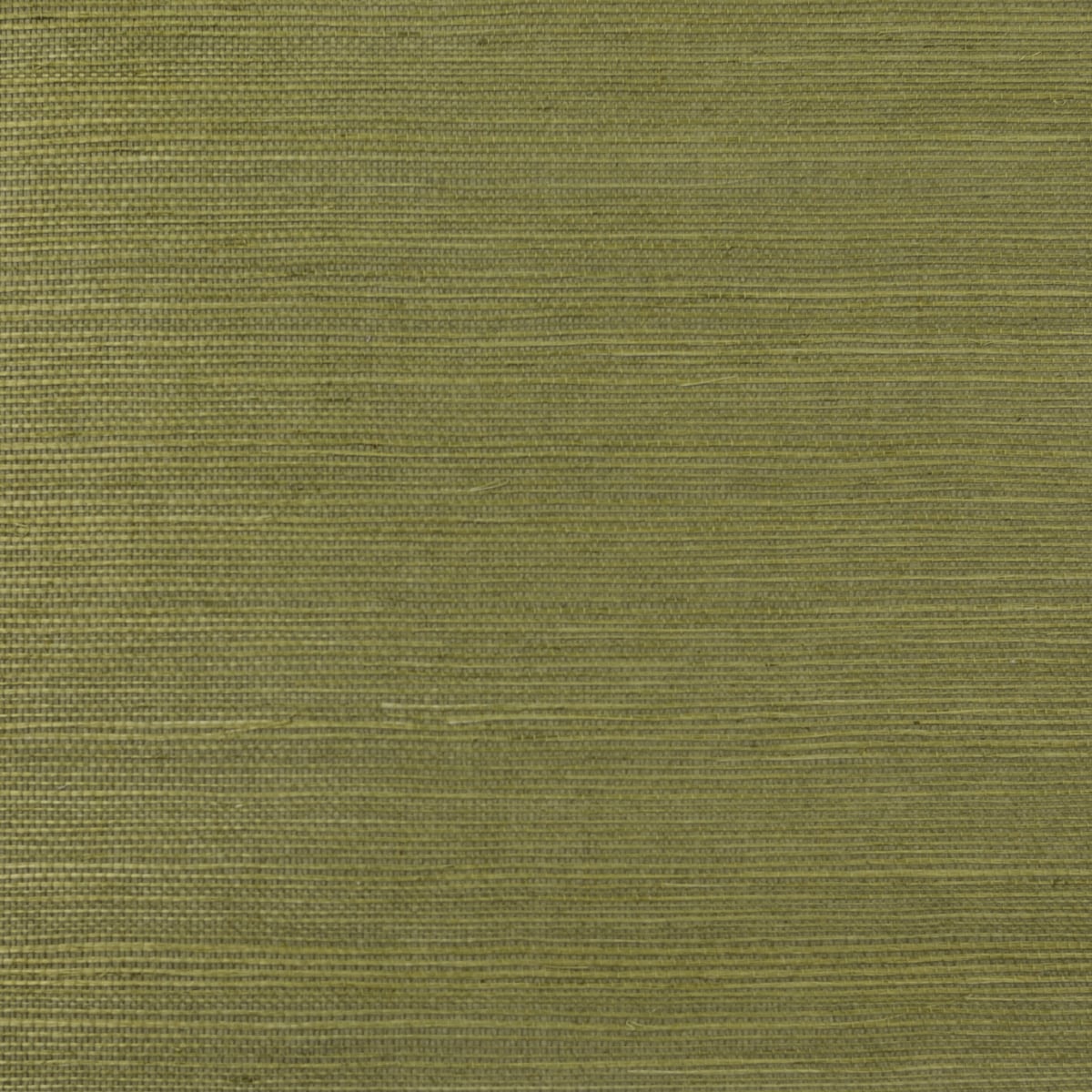 LN11854 | Sisal, Green - Lillian August Wallpaper