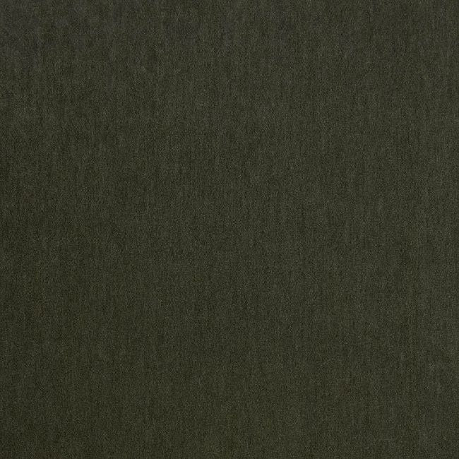 Purchase Lz-30379.43.0 Livorno, Lizzo - Kravet Design Fabric