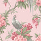 Acquire M1665 Archive Collection Golden Pheasant Pink Floral Wallpaper Pink Brewster
