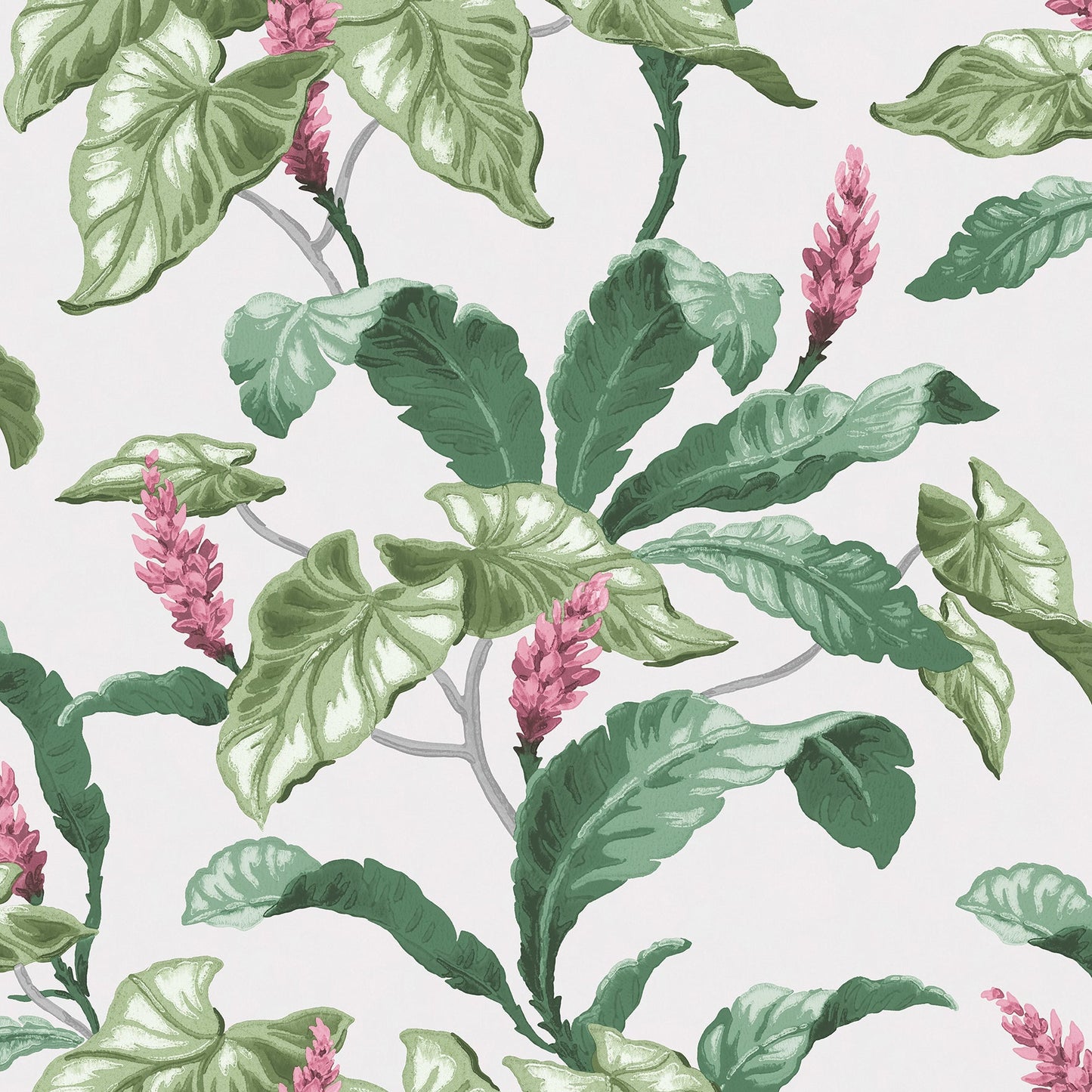Order M1692 Archive Collection Meridian Parade Green Tropical Leaves Wallpaper Grey/Pink/Green Brewster