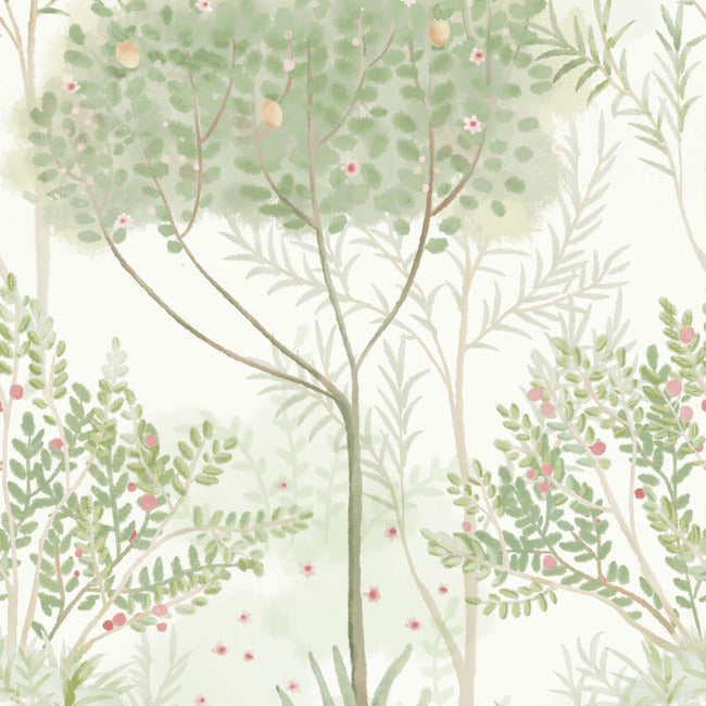 Shop MN1822 Orchard Mediterranean by York Wallpaper