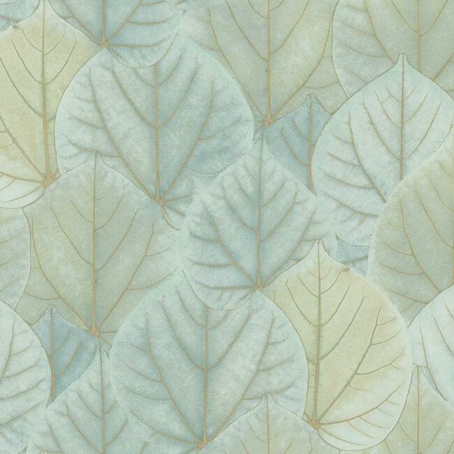 OS4241 Leaf Concerto Wallpaper Candice Modern Nature 2nd Edition1 ; OS4241 Leaf Concerto Wallpaper Candice Modern Nature 2nd Edition2 ; OS4241 Leaf Concerto Wallpaper Candice Modern Nature 2nd Edition3 ; OS4241 Leaf Concerto Wallpaper Candice Modern Nature 2nd Edition4OS4241 Leaf Concerto Wallpaper Candice Modern Nature 2nd Edition5