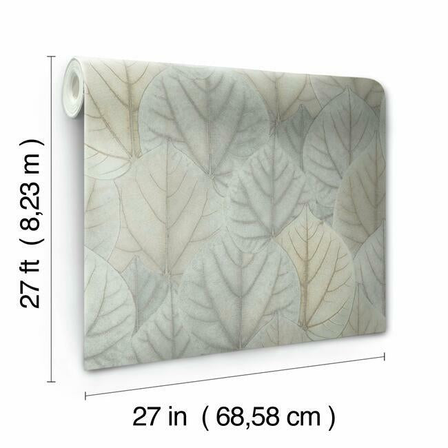 OS4244 Leaf Concerto Wallpaper Candice Modern Nature 2nd Edition1 ; OS4244 Leaf Concerto Wallpaper Candice Modern Nature 2nd Edition2 ; OS4244 Leaf Concerto Wallpaper Candice Modern Nature 2nd Edition3 ; OS4244 Leaf Concerto Wallpaper Candice Modern Nature 2nd Edition4OS4244 Leaf Concerto Wallpaper Candice Modern Nature 2nd Edition5