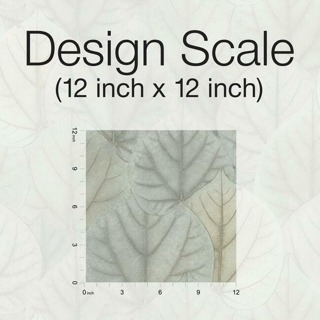 OS4244 Leaf Concerto Wallpaper Candice Modern Nature 2nd Edition1 ; OS4244 Leaf Concerto Wallpaper Candice Modern Nature 2nd Edition2 ; OS4244 Leaf Concerto Wallpaper Candice Modern Nature 2nd Edition3 ; OS4244 Leaf Concerto Wallpaper Candice Modern Nature 2nd Edition4OS4244 Leaf Concerto Wallpaper Candice Modern Nature 2nd Edition5