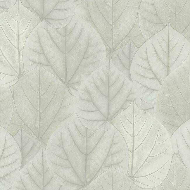 OS4246 Leaf Concerto Wallpaper Candice Modern Nature 2nd Edition1 ; OS4246 Leaf Concerto Wallpaper Candice Modern Nature 2nd Edition2 ; OS4246 Leaf Concerto Wallpaper Candice Modern Nature 2nd Edition3 ; OS4246 Leaf Concerto Wallpaper Candice Modern Nature 2nd Edition4OS4246 Leaf Concerto Wallpaper Candice Modern Nature 2nd Edition5