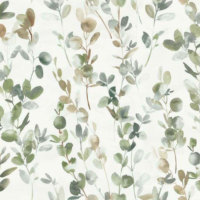 OS4311 | Joyful Eucalyptus, Modern Nature 2nd Edition