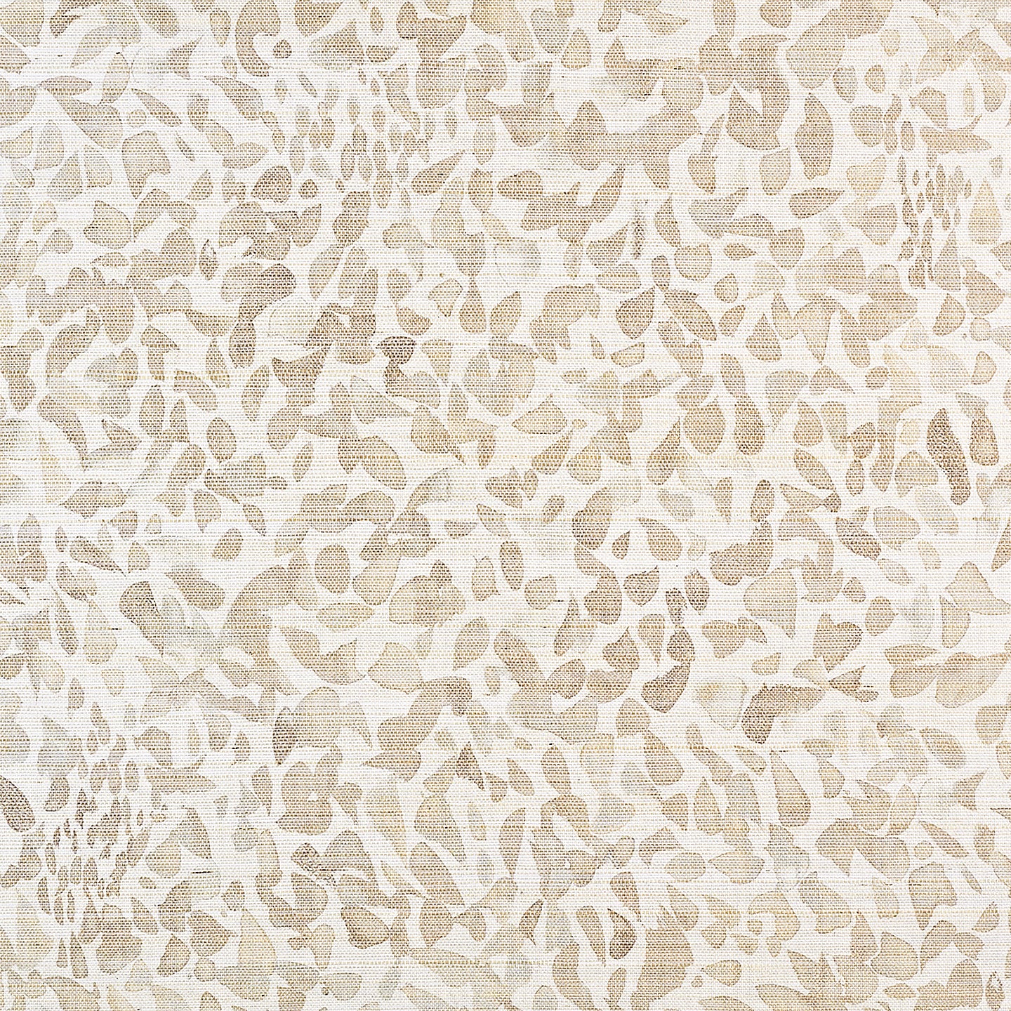 Purchase Phillip Jeffries Wallpaper - 9645, Pretty Petals - Sola Blooms 