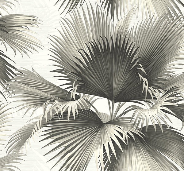 Buy PS40100 Palm Springs Endless Summer Black Palm Kenneth James Wallpaper