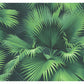 Find PS40104 Palm Springs Endless Summer Dark Green Palm Kenneth James Wallpaper