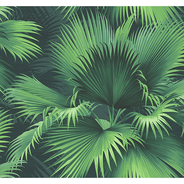 Find PS40104 Palm Springs Endless Summer Dark Green Palm Kenneth James Wallpaper