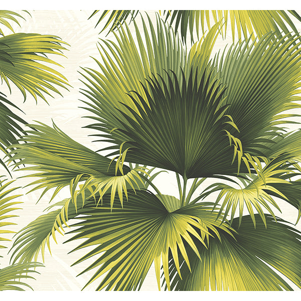 Acquire PS40114 Palm Springs Endless Summer Green Palm Kenneth James Wallpaper