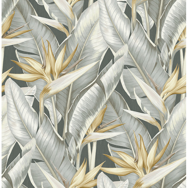 View PS40200 Palm Springs Arcadia Grey Banana Leaf Kenneth James Wallpaper