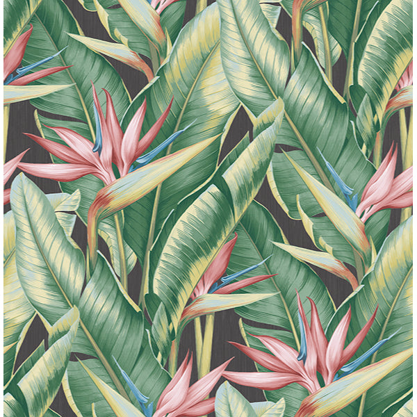 Purchase PS40201 Palm Springs Arcadia Pink Banana Leaf Kenneth James Wallpaper