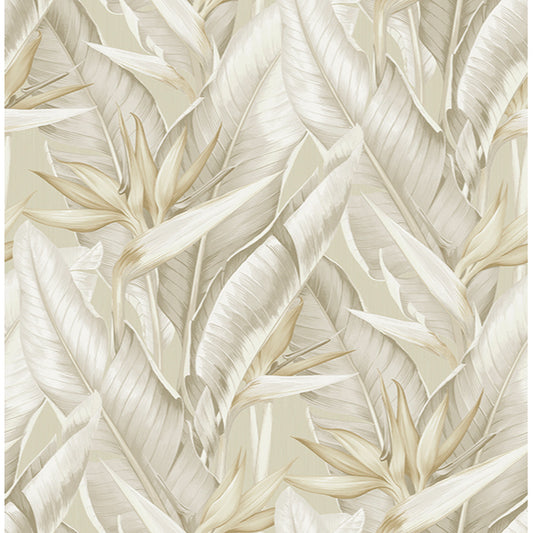 Order PS40205 Palm Springs Arcadia Beige Banana Leaf Kenneth James Wallpaper