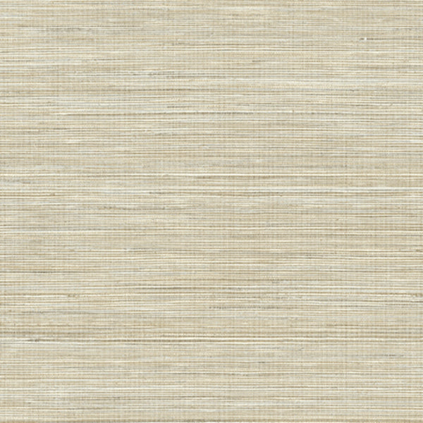 Purchase PS41507 Palm Springs Baja Grass Brown Texture Kenneth James Wallpaper
