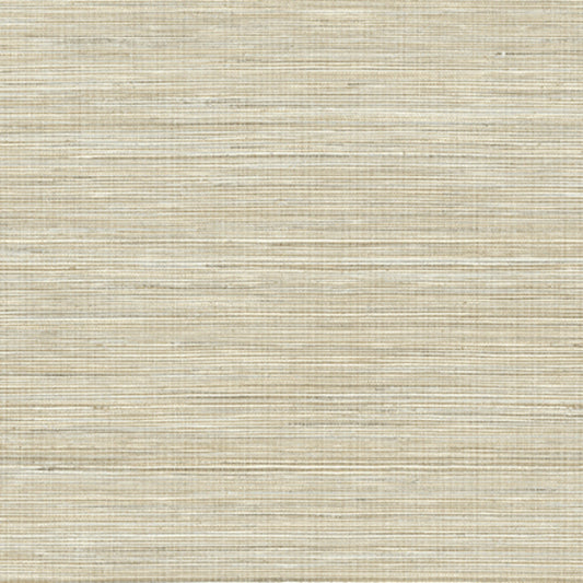 Purchase PS41507 Palm Springs Baja Grass Brown Texture Kenneth James Wallpaper