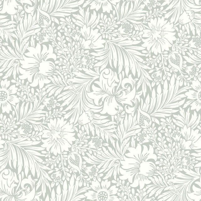 Purchase Psw1446Rl | Modern Acanthus Peel & Stick, Floral - Erin & Ben Co. Wallpaper