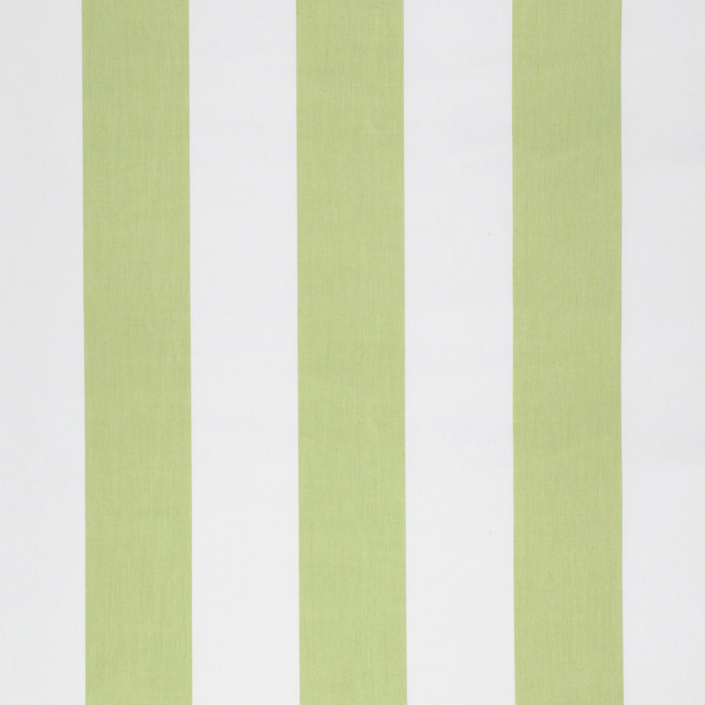 Purchase Greenhouse Fabric S1264 Celery