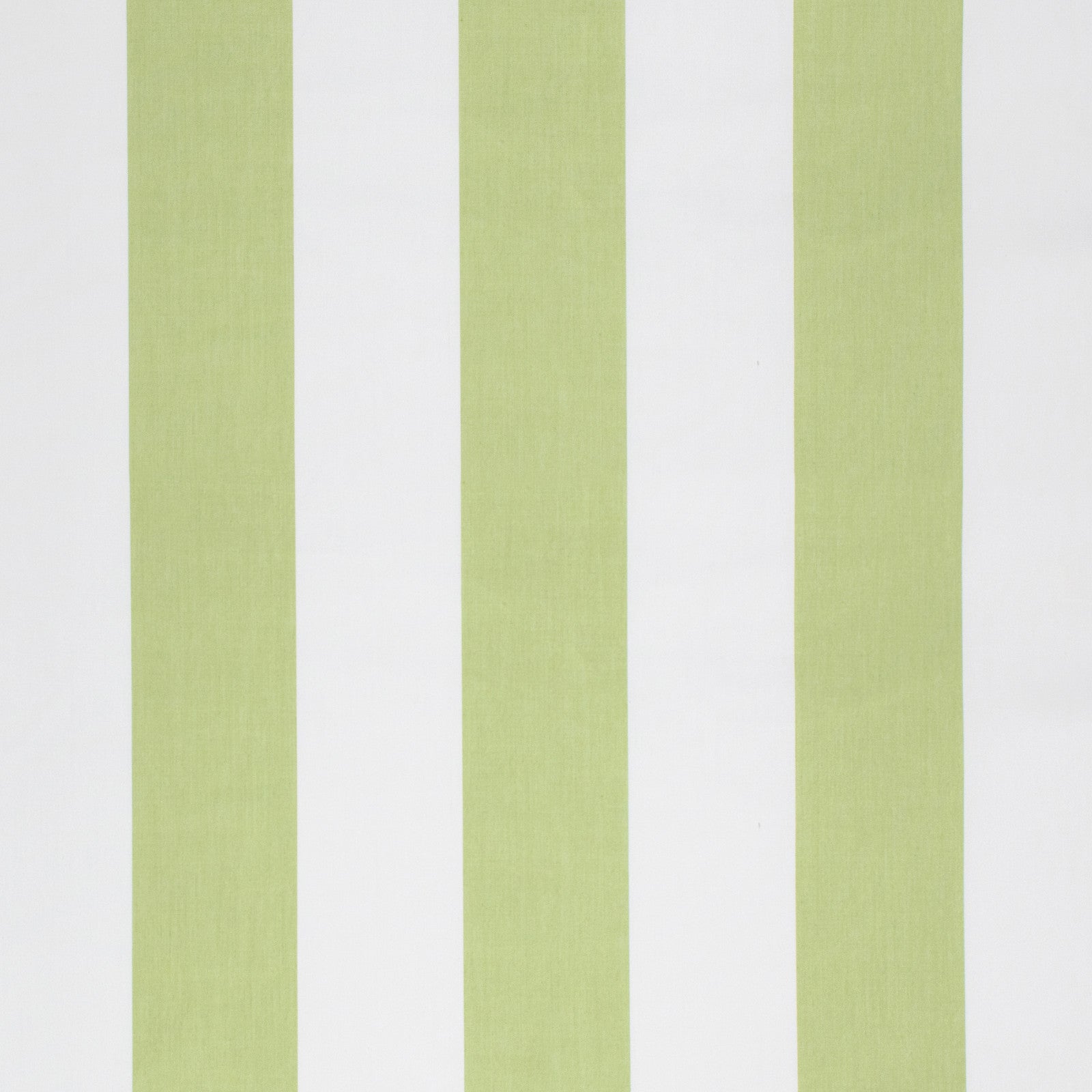 Purchase Greenhouse Fabric S1264 Celery