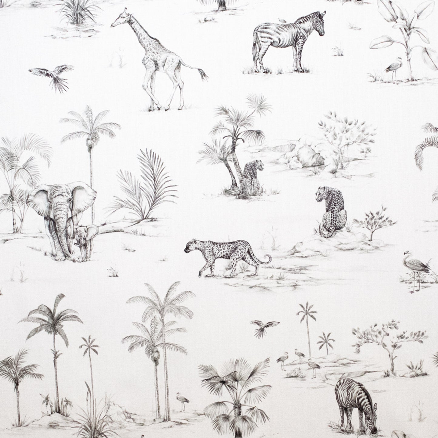 Purchase Greenhouse Fabric S5483 Ivory/Ebony